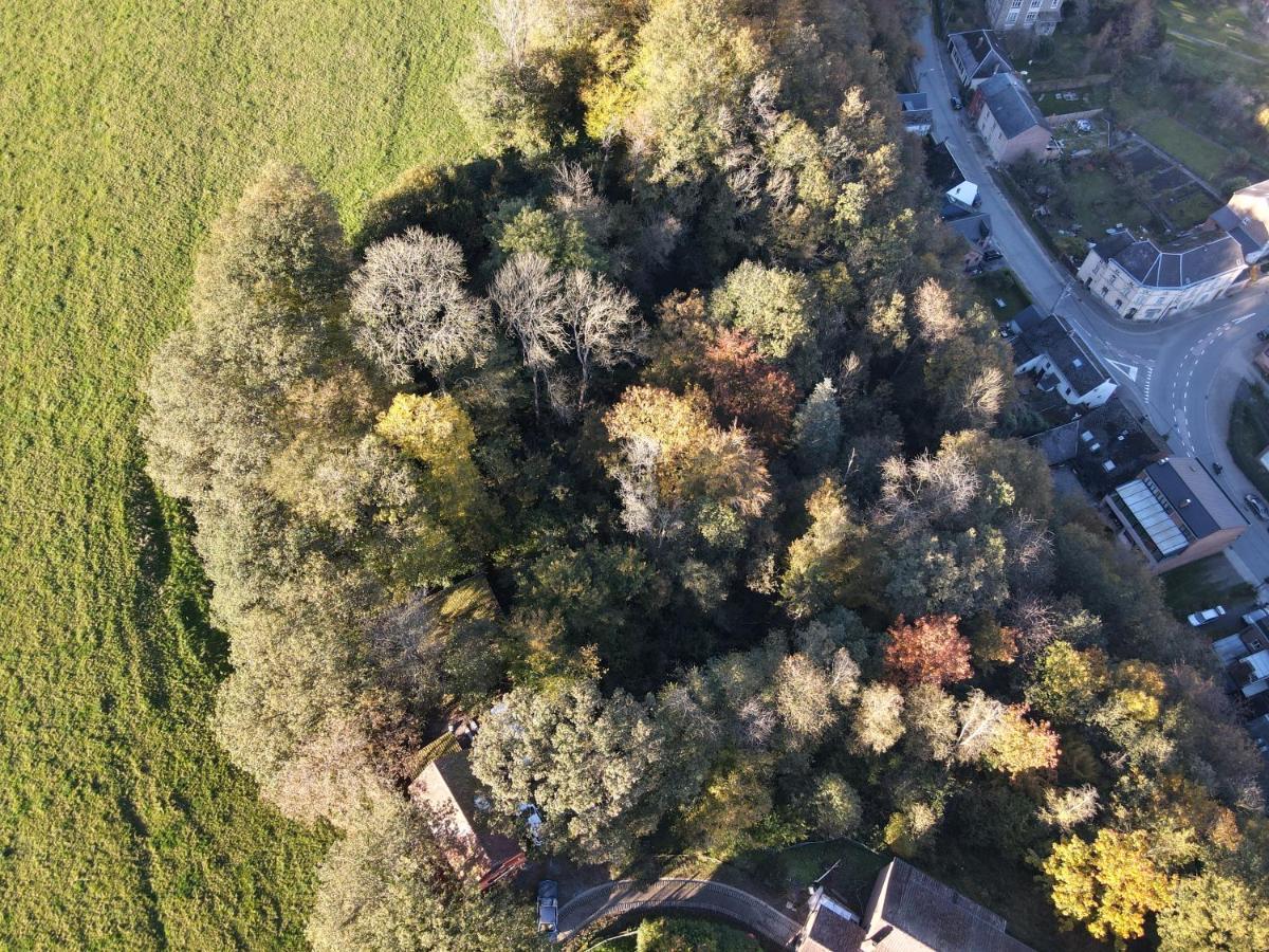 Gites Douillets A L'Oree Des Bois. 호후예트 외부 사진